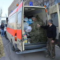 Простягнули руку допомоги