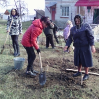 Яблуневий сад на честь бійця