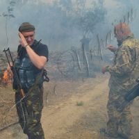 Через обстріли горить ліс