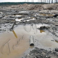 Вдаримо нарадами по «бурштиновій лихоманці»