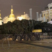 Новорічна красуня вже в Києві