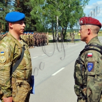 Інтернаціональна бригада розпочала вишкіл