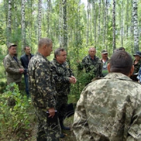 За деревами не побачили лісу