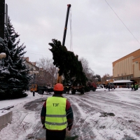 До Рівного прибула новорічна ялинка!