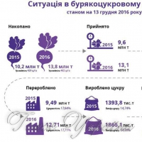 Припорошені снігом польові роботи тривають…