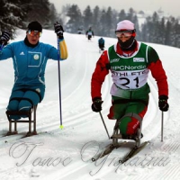 Кращі паралімпійці з 18 країн змагатимуться на Львівщині