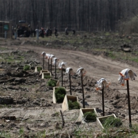 Помічників не бракує