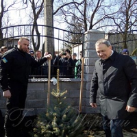 Поліцейські висадили алею