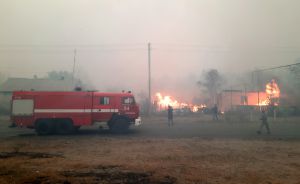 Палає лісовий масив. Є жертви