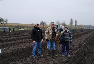 У Бугрині спеціалізуватимуться на органічній малині