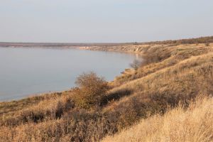 Чи допоможуть грязі «вийти в князі»?