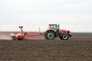 Погода продовжує сівбу