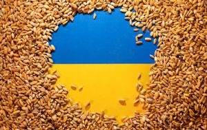 Іноземні партнери продовжують долучатися до ініціативи Grain from Ukraine