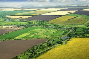 Хочуть захистити землю в умовах воєнних дій