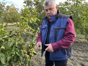 Горіхи «годують» велику родину