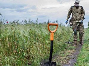 Аграрії отримуватимуть компенсації від держави за розмінування землі