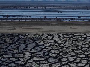 Чи сіятимуть та будуватимуть на землях Каховського водосховища?