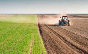 Українські аграрії засіяли понад 12 мільйонів гектарів ярих культур, — Комітет з питань аграрної та земельної політики