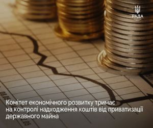 Комітет з питань економічного розвиту тримає на контролі надходження коштів від приватизації державного майна