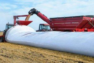 Українські фермери можуть безплатно отримати рукави для зберігання зерна нового врожаю