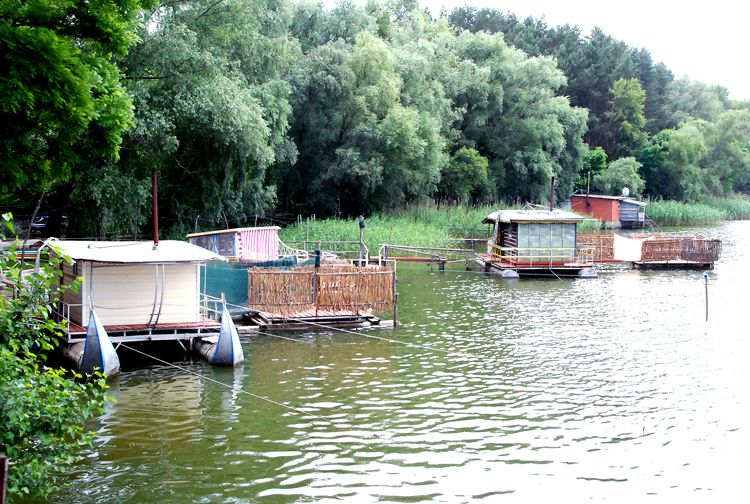 За спиною — сосни, перед очима — Невінчана