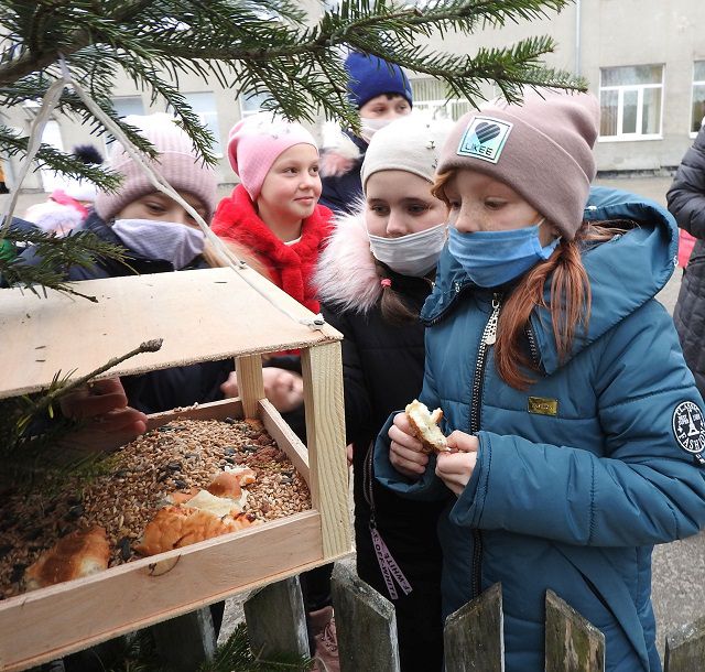 Львів: Годівниці для пернатих