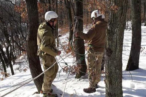 Курси у Карпатах