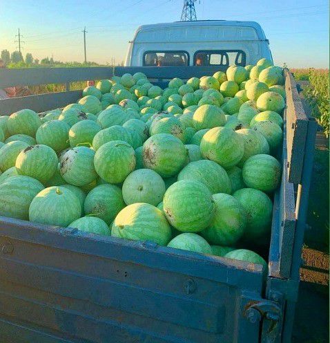 Земля віддячує гарними дарами