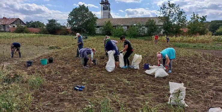 Для військових зібрали понад тонну картоплі