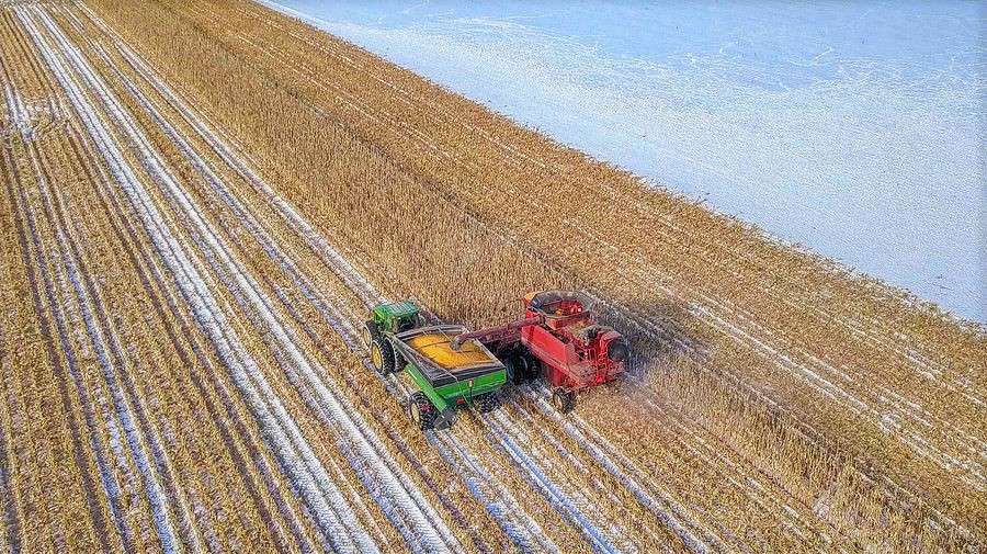 Аграрії Вінниччини намолотили 4 мільйони тонн зерна 