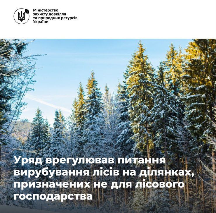 Зменшити неконтрольоване вирубування лісів і посилити контроль за проведенням рубок хочуть у Міндовкілля