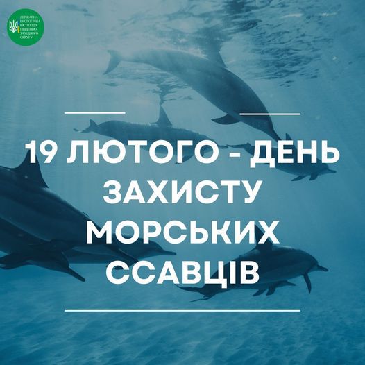 Цей день відзначають з 1986 року, коли Міжнародна китобійна комісія ввела заборону на китовий промисел та торгівлю китовим м’ясом