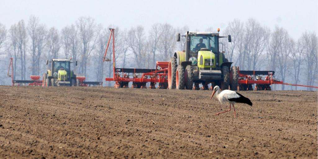 До сівби ярих культур приступили вже 18 областей України