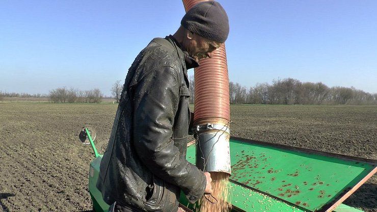 Засіятися допомагають іноземні партнери