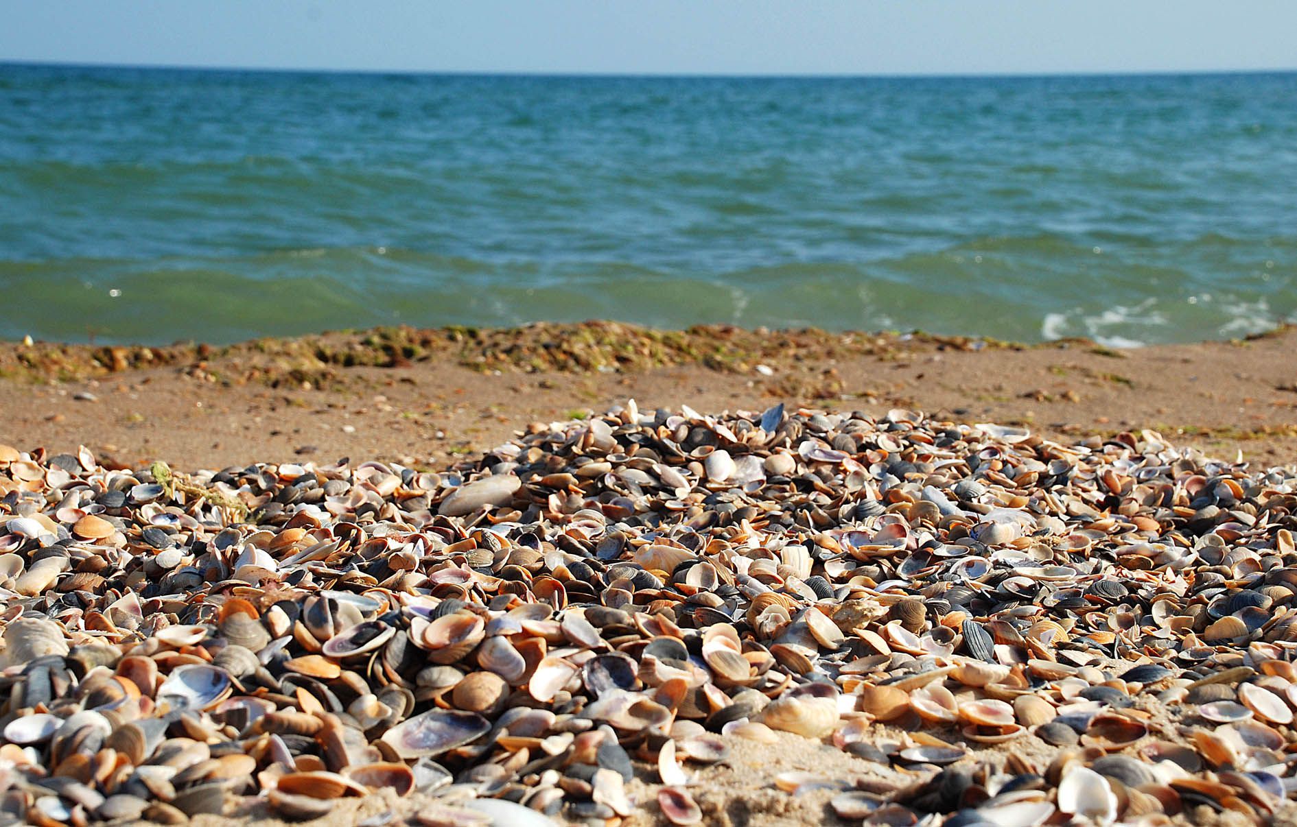 Сьогодні — Міжнародний день Чорного моря