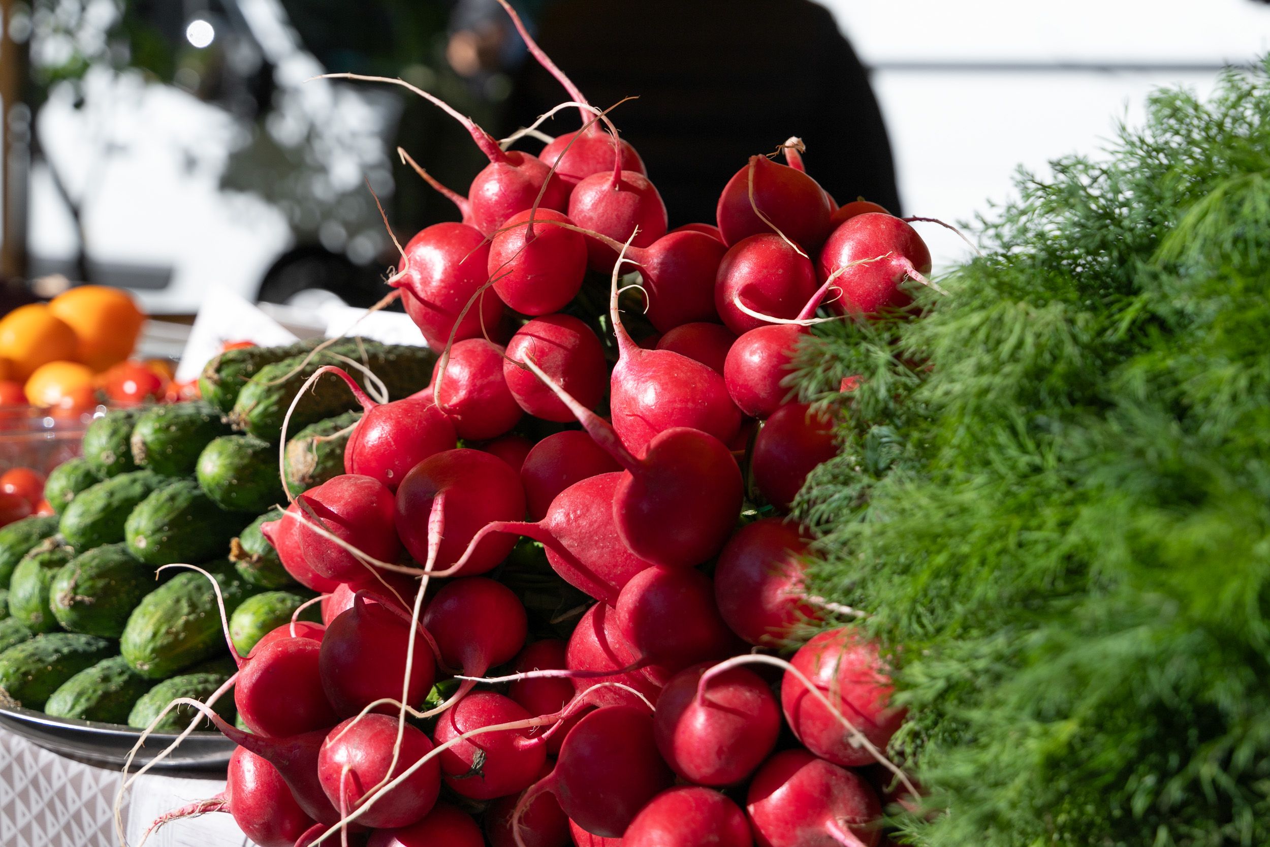 11–16 березня в Києві відбудуться продуктові сільськогосподарські ярмарки: перелік локацій