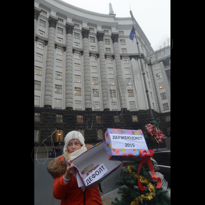 17 грудня 2014. Біля КМУ відбулася акція «Прозоре формування бюджету – найкращий новорічний подарунок». Представники Реанімаційного Пакету Реформ презентували урядову «йолку» спеціально для Кабінету Міністрів України та його очільника Арсенія Яценюка. Експерти та активісти громадськості продемонструють, що насправді являють собою святкові подарунки від Кабміну та що ховається за яскравими обгортками.