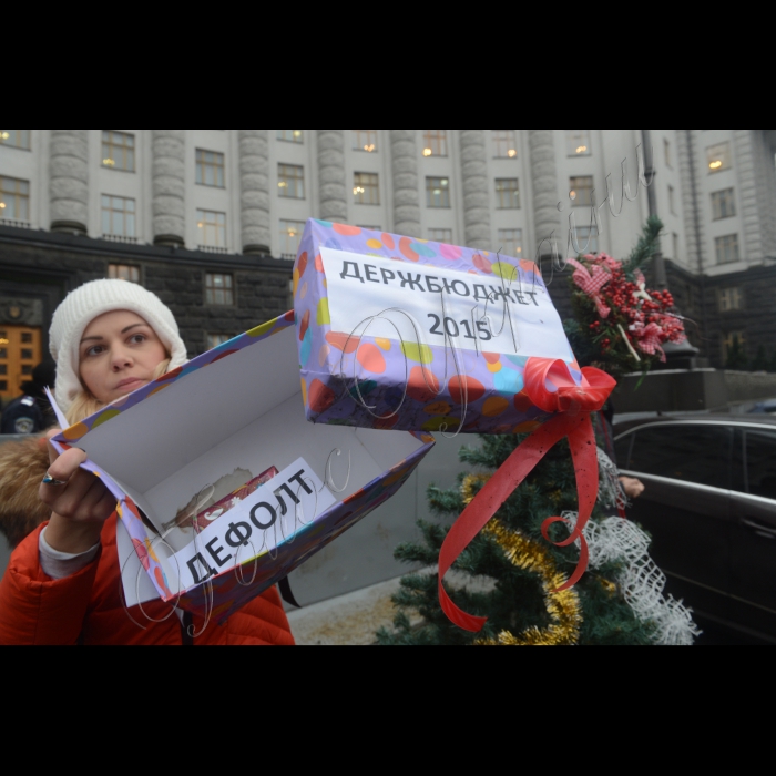 17 грудня 2014. Біля КМУ відбулася акція «Прозоре формування бюджету – найкращий новорічний подарунок». Представники Реанімаційного Пакету Реформ презентували урядову «йолку» спеціально для Кабінету Міністрів України та його очільника Арсенія Яценюка. Експерти та активісти громадськості продемонструють, що насправді являють собою святкові подарунки від Кабміну та що ховається за яскравими обгортками.