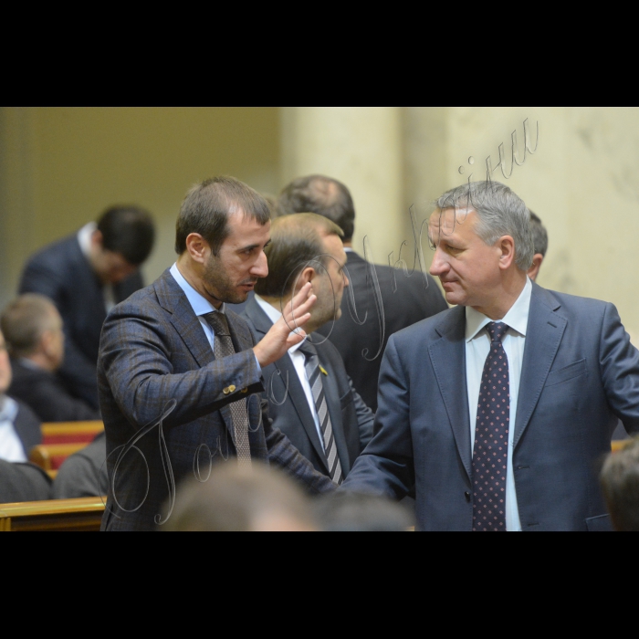 12 грудня 2014. Пленарне засідання ВР. Сергій Рибалка, Іван Куліченко 