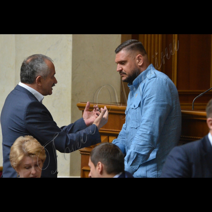 1 липня 2015 року.
Пленарне засідання ВР України.
Віктор Пинзеник-БПП, Олексій Савченко-БПП