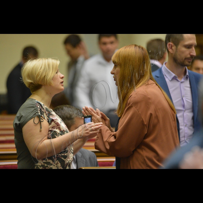 1 липня 2015 року.
Пленарне засідання ВР України.
Ірина Геращенко-БПП, Оксана Корчинська- Радикальна партія