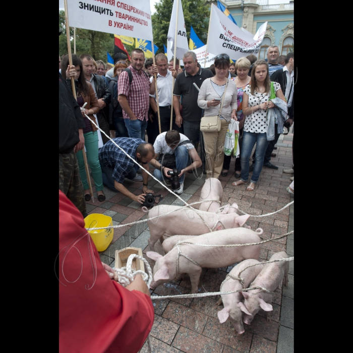 2 липня 2015
Протест представників профспілок України та сільськогосподарських виробників під Верховною Радою України. Сільгоспвиробники вимагають не допустити скасування спецрежиму ПДВ, а представники профспілок - прийняти закони про індексацію зарплат і пенсій.
До пікетувальників також долучились представники «фінансового майдана»