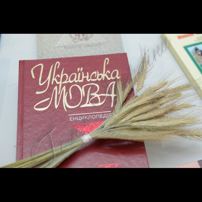 З 27 по 30 серпня в Українському домі (вул. Хрещатик, 2) проходить традиційна Київська книжкова виставка до Дня Знань, співзасновником та співорганізатором якої є Держкомтелерадіо.
Також у день відкриття стартує Всеукраїнський проект «Вишивка етнографічна: :«Украинский народный орнамент: вышивки, ткани, писанки» О.П. Косачева, Киев, 1876», присвячений Ользі Косач-Кривинюк. У рамках заходу відбудеться презентація, виставка вишитих аркушів книги, показ сучасних виробів за ними; майстер-класи з народної вишивки для дітей та дорослих, літературно-музично-ігрова частина «Сміховинки від Олени Пчілки».