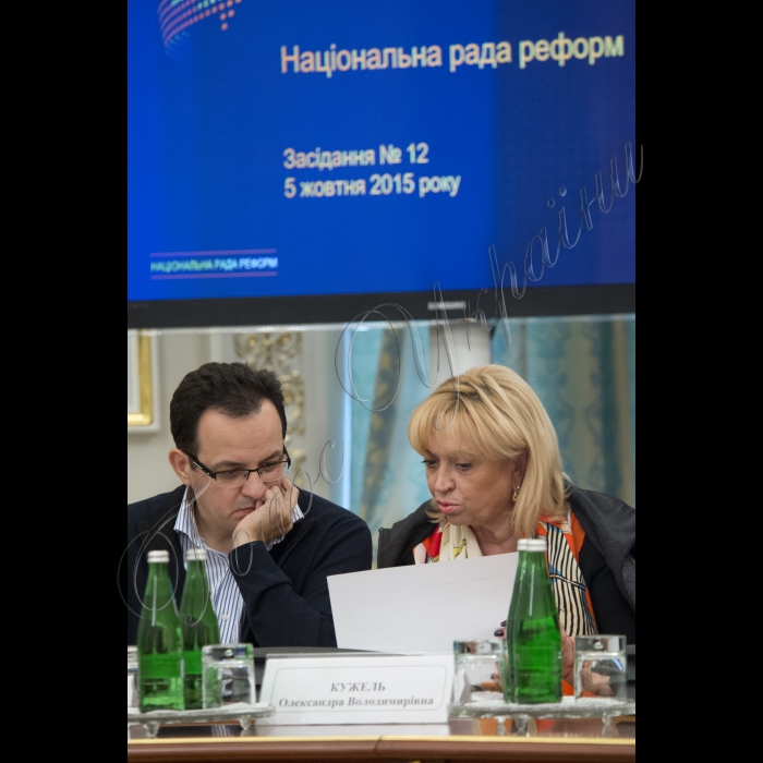 Голова ВР України Володимир Гройсман, Президент України Петро Порошенко, Прем’єр-міністр України Арсеній Яценюк, народні депутати, члени Кабінету міністрів, представники Адміністрації Президента взяли участь у дванадцятому засіданні Ради Реформ. Олег Березюк, Олександра Кужель.