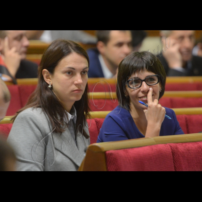 Пленарне засідання Верховної Ради України. Ганна Гопко, Вікторія Пташник позафр.