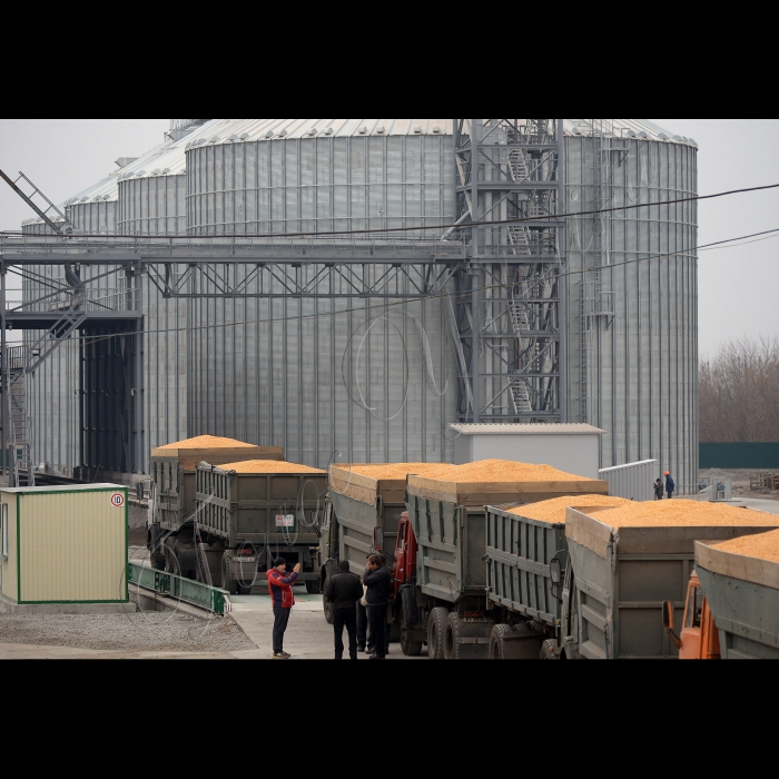 Київська обл.У смт. Рокитне відбулось відкриття 
елеватору 