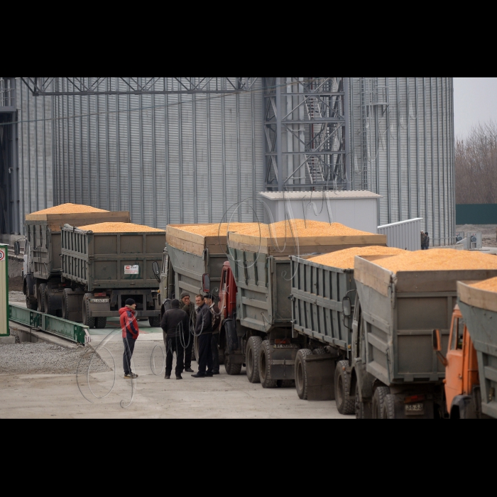 Київська обл.У смт. Рокитне відбулось відкриття 
елеватору 