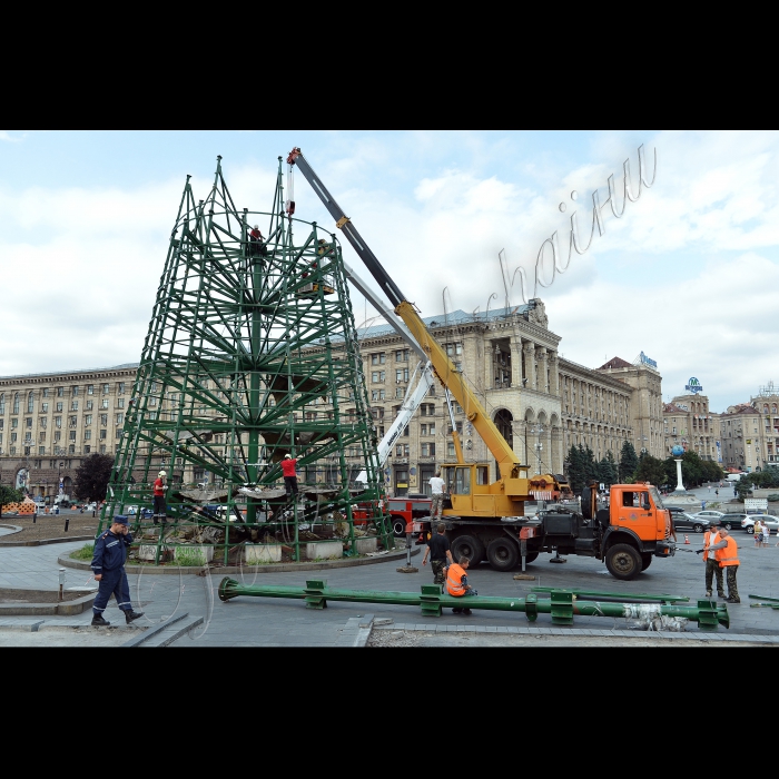 Київ На Майдані Незалежності демонтують ялинку – «йолку».