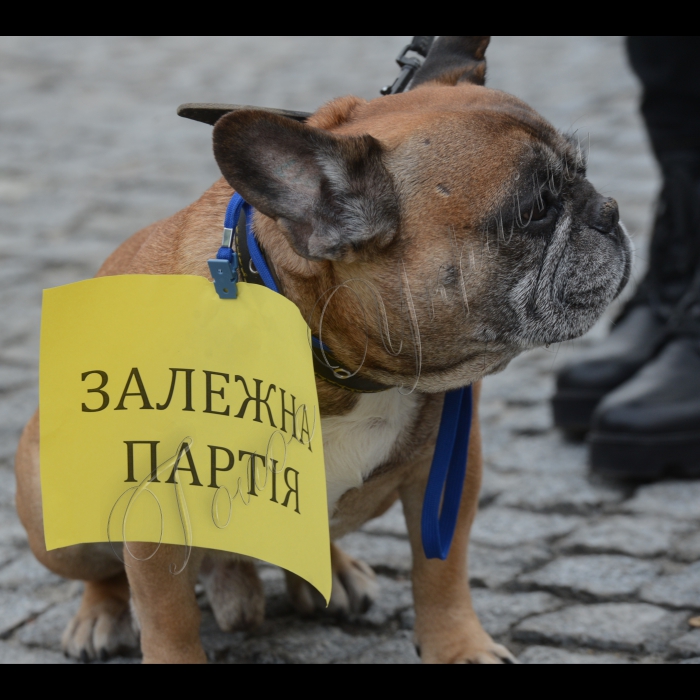 Відбувся Всеукраїнський флеш-моб «Не/залежні партії» в рамках Всеукраїнської кампанії «Стеж за грошима». Акція одночасно проходитила у містах: Київ, Херсон, Скадовськ, Дніпропетровськ, Черкаси, Тернопіль. Мета акції: привернути увагу громадськості, політиків, ЗМІ до необхідності впровадження Закону «Про внесення змін до деяких законодавчих актів України щодо запобігання і протидії політичній корупції». В Києві акція відбудеться на Майдані Незалежності біля Головпоштамту. 