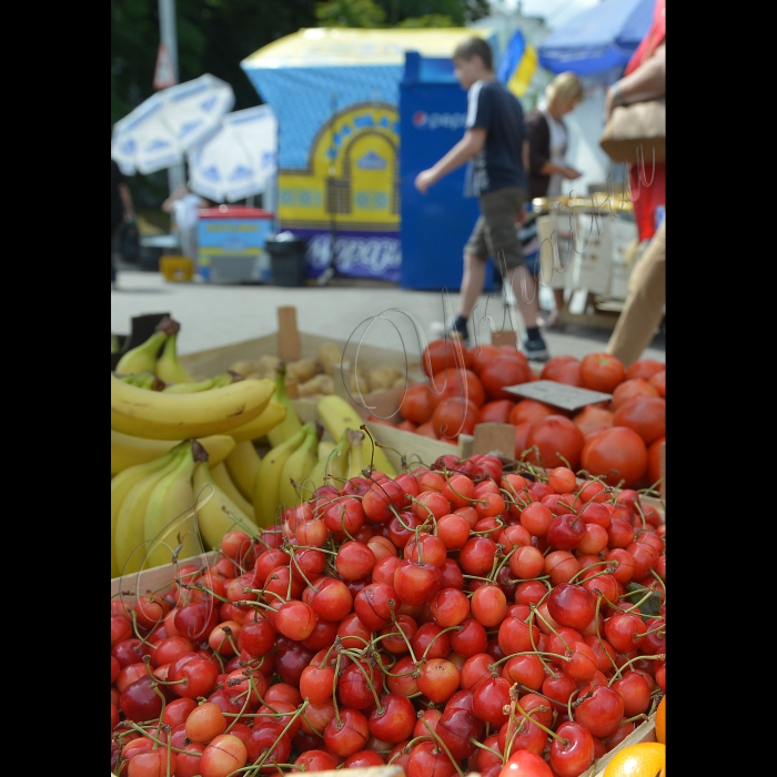 Київ, продаж черешні.  Вулична торгівля